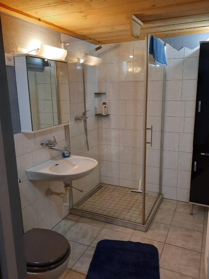 Apartment Berner Oberland Darligen